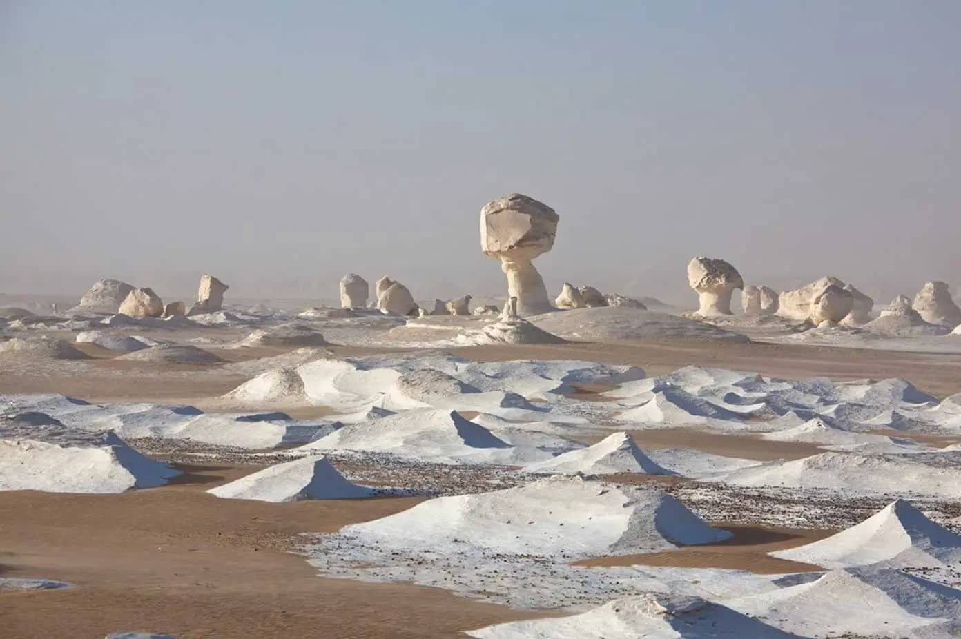 White Desert Egypt Tour